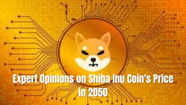 Expert Opinions on Shiba Inu Coin's Price in 2050