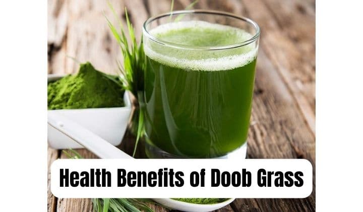 Health Benefits of Doob Grass