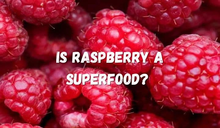 Is Raspberry a Superfood? 