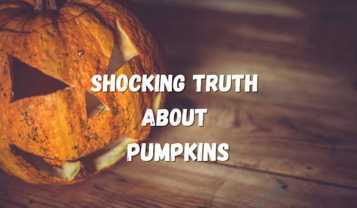Shocking Truth About Pumpkins