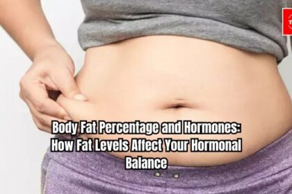 Body Fat Percentage and Hormones: How Fat Levels Affect Your Hormonal Balance