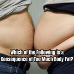 Which of the Following is a Consequence of Too Much Body Fat?